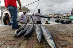 2016-9th-Annual-Wahoo-Tournament_November05_2016-30