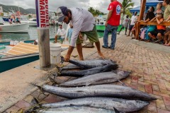 2016-9th-Annual-Wahoo-Tournament_November05_2016-91