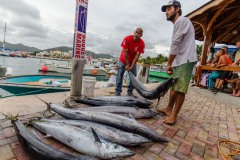 2016-9th-Annual-Wahoo-Tournament_November05_2016-92