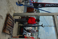 DSC_3955
