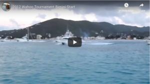 Read more about the article Bimini Start – Wahoo Tournament, 2012